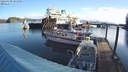 ./images/quadra/hbidock/20220409/hbidock20220409_085000M.jpg