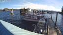 ./images/quadra/hbidock/20220411/hbidock20220411_083000M.jpg