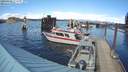 ./images/quadra/hbidock/20220411/hbidock20220411_155500M.jpg