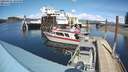 ./images/quadra/hbidock/20220416/hbidock20220416_144500M.jpg
