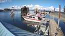./images/quadra/hbidock/20220419/hbidock20220419_163500M.jpg