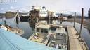 ./images/quadra/hbidock/20220428/hbidock20220428_110500M.jpg