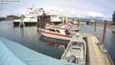./images/quadra/hbidock/20220428/hbidock20220428_144500M.jpg