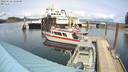 ./images/quadra/hbidock/20220428/hbidock20220428_145500M.jpg