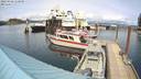 ./images/quadra/hbidock/20220428/hbidock20220428_150500M.jpg