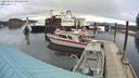 ./images/quadra/hbidock/20220429/hbidock20220429_090500M.jpg
