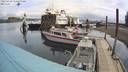 ./images/quadra/hbidock/20220429/hbidock20220429_110500M.jpg
