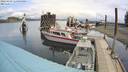 ./images/quadra/hbidock/20220429/hbidock20220429_115000M.jpg
