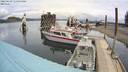 ./images/quadra/hbidock/20220429/hbidock20220429_120000M.jpg