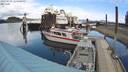 ./images/quadra/hbidock/20220430/hbidock20220430_123500M.jpg