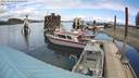 ./images/quadra/hbidock/20220430/hbidock20220430_131500M.jpg