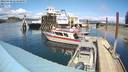 ./images/quadra/hbidock/20220430/hbidock20220430_143500M.jpg