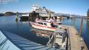 ./images/quadra/hbidock/20220430/hbidock20220430_165500M.jpg