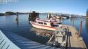 ./images/quadra/hbidock/20220430/hbidock20220430_173500M.jpg