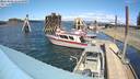 ./images/quadra/hbidock/20220502/hbidock20220502_142500M.jpg