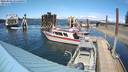 ./images/quadra/hbidock/20220502/hbidock20220502_151000M.jpg