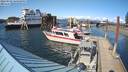 ./images/quadra/hbidock/20220502/hbidock20220502_163000M.jpg
