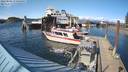 ./images/quadra/hbidock/20220502/hbidock20220502_170000M.jpg