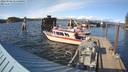 ./images/quadra/hbidock/20220502/hbidock20220502_175000M.jpg