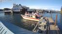./images/quadra/hbidock/20220502/hbidock20220502_183500M.jpg