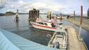 ./images/quadra/hbidock/20220506/hbidock20220506_151500M.jpg
