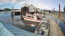 ./images/quadra/hbidock/20220506/hbidock20220506_164500M.jpg