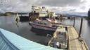 ./images/quadra/hbidock/20220508/hbidock20220508_085500M.jpg