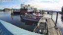 ./images/quadra/hbidock/20220509/hbidock20220509_083500M.jpg