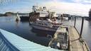 ./images/quadra/hbidock/20220509/hbidock20220509_085000M.jpg