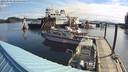 ./images/quadra/hbidock/20220509/hbidock20220509_085500M.jpg