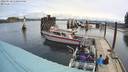 ./images/quadra/hbidock/20220510/hbidock20220510_111000M.jpg