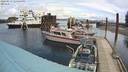 ./images/quadra/hbidock/20220513/hbidock20220513_123500M.jpg