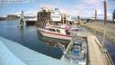 ./images/quadra/hbidock/20220517/hbidock20220517_144500M.jpg