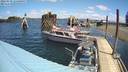 ./images/quadra/hbidock/20220519/hbidock20220519_121000M.jpg