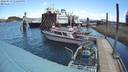 ./images/quadra/hbidock/20220519/hbidock20220519_130001M.jpg