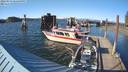 ./images/quadra/hbidock/20220519/hbidock20220519_181500M.jpg
