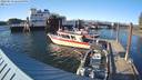 ./images/quadra/hbidock/20220519/hbidock20220519_185500M.jpg