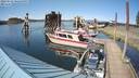 ./images/quadra/hbidock/20220521/hbidock20220521_162500M.jpg
