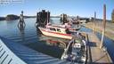 ./images/quadra/hbidock/20220521/hbidock20220521_181500M.jpg