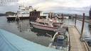 ./images/quadra/hbidock/20220523/hbidock20220523_083000M.jpg