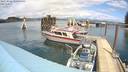 ./images/quadra/hbidock/20220525/hbidock20220525_135000M.jpg