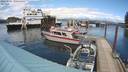 ./images/quadra/hbidock/20220525/hbidock20220525_143500M.jpg