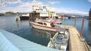 ./images/quadra/hbidock/20220525/hbidock20220525_145000M.jpg