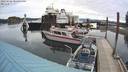 ./images/quadra/hbidock/20220526/hbidock20220526_085000M.jpg