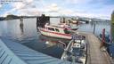 ./images/quadra/hbidock/20220528/hbidock20220528_172000M.jpg
