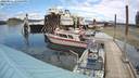 ./images/quadra/hbidock/20220531/hbidock20220531_144500M.jpg