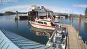 ./images/quadra/hbidock/20220531/hbidock20220531_170500M.jpg