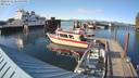 ./images/quadra/hbidock/20220531/hbidock20220531_183500M.jpg