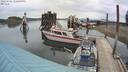 ./images/quadra/hbidock/20220601/hbidock20220601_120500M.jpg