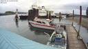 ./images/quadra/hbidock/20220616/hbidock20220616_111000M.jpg